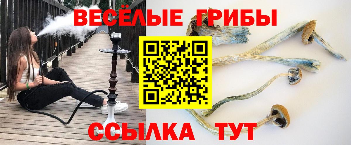Псилоцибиновые грибы GOLDEN TEACHER Моздок