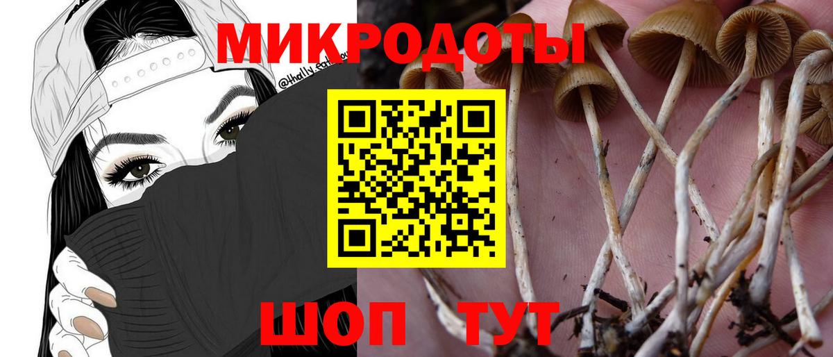 Моздок  Галлюциногенные грибы Psilocybe  Вход с VPN 
